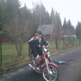 ����, �������, 44 ����