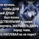 ���� Archi, ����������� - ��������� 29 ������� 2018 � ������ ���� ����������