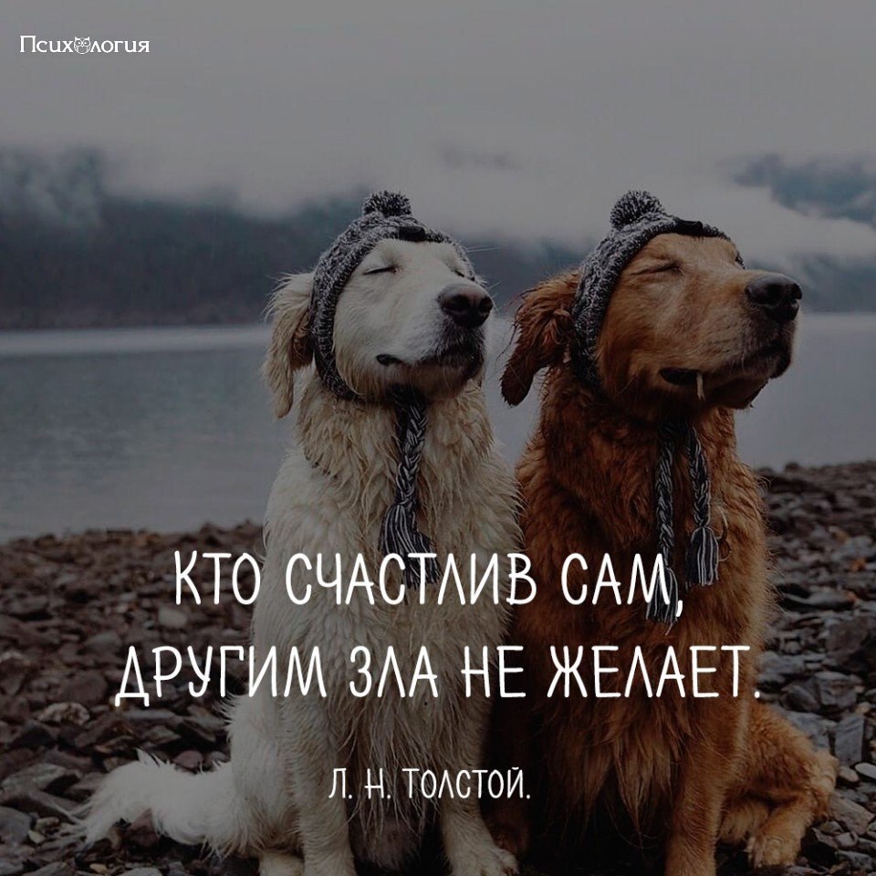 Учись находить в жизни радость. Счастливые дома. Кто делает тебя счастливой. Счастливый это кто или что. Счастье это выбор.