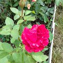 ���� ������, ������, 53 ���� - ��������� 7 ������ 2019 � ������ ���� ����������