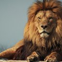 ���� ������, ��������, 47 ��� - ��������� 27 ����� 2019