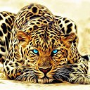 ���� ������777, ���������, 48 ��� - ��������� 27 ������� 2019