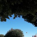 ���� Hakan Hakan, �����������, 53 ���� - ��������� 30 ������� 2018 � ������ ���� ����������