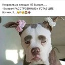 ���� Venera, ��������-��-������ - ��������� 18 ����� 2019 � ������ ������ ��������