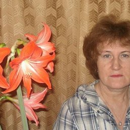 �����, �����, 71 ���