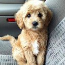 ���� �����., ������, 57 ��� - ��������� 19 ������� 2018