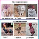  ,  -  25  2019    