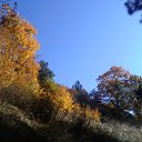 ���� �������, ����������, 62 ���� - ��������� 4 ������ 2018 � ������ ���� ����������