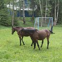 ���� Alex, �����-���������, 42 ���� - ��������� 25 ���� 2018