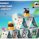 ���� �����, ������ - ��������� 31 ������� 2018 � ������ �������� �������-�������