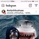 ���� �����, �����-���������, 53 ���� - ��������� 24 ������� 2019 � ������ ���� ����������