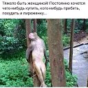 ���� ��������, ���, 55 ��� - ��������� 26 ������� 2018 � ������ ���� ����������