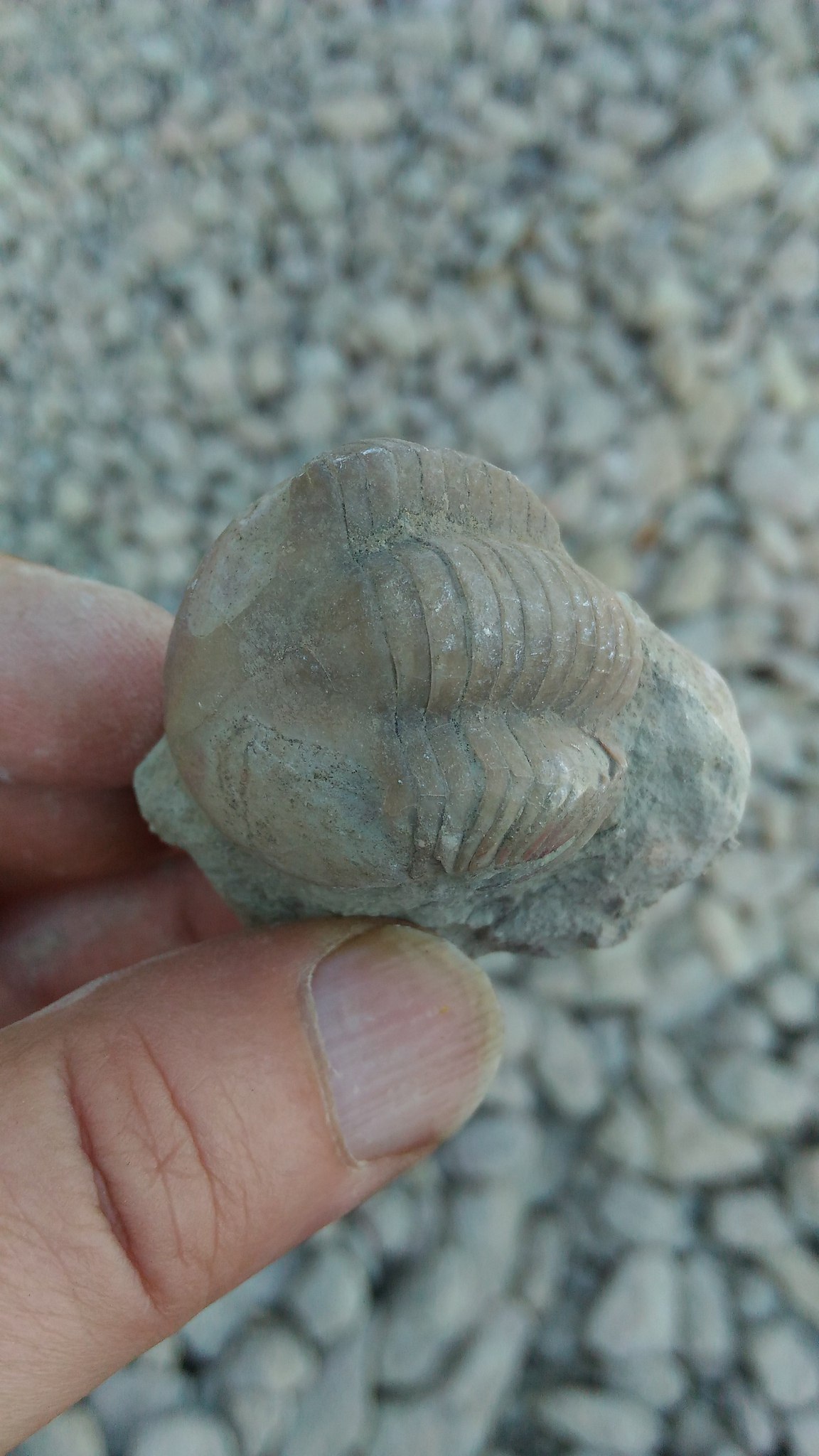  - 23  2018  16:51 - 7