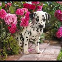 ���� ���������, ������ - ��������� 18 ������� 2018 � ������ ���� ����������