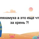 ���� ������, ������-��-����, 46 ��� - ��������� 17 ������� 2018 � ������ ������ ��������