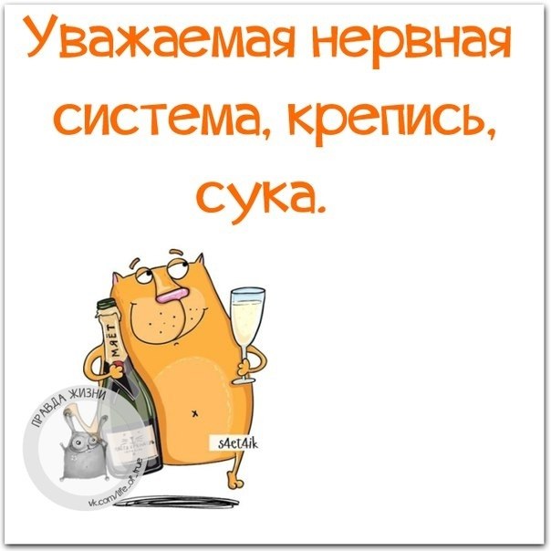   - 17  2019  17:02