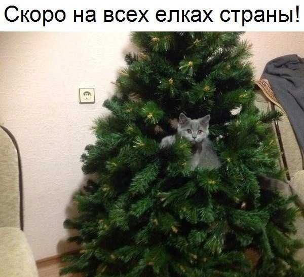    :D - 8  2018  16:31