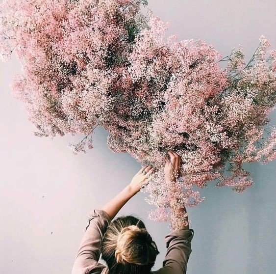 ��������� ���������� - 4