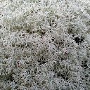 ���� Jurij, ����, 47 ��� - ��������� 5 ������� 2018 � ������ ������ ��������