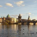 ���� �������, ��������, 44 ���� - ��������� 26 ������ 2018 � ������ ������