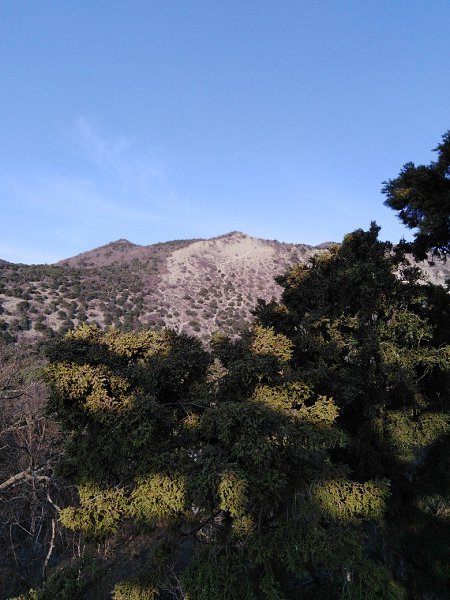 ������ - 27 ����� 2019 � 18:49 - 5