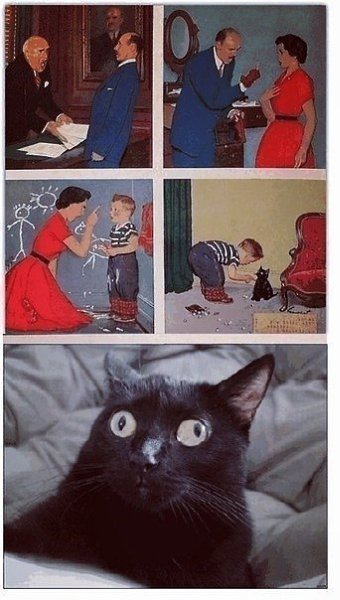       ..