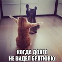 ���� ������, �������, 51 ��� - ��������� 30 �������� 2018 � ������ ���� ����������