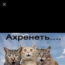 ���� Djo, ������ ���, 76 ��� - ��������� 13 ������� 2019