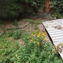  ,  -  28  2018   -2018