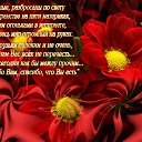 ���� �����, ������, 41 ��� - ��������� 8 ������ 2018 � ������ ���������