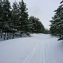 ���� �������, ������ ��������, 38 ��� - ��������� 7 ������� 2019