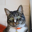 ���� �������, ����� - ��������� 13 ������� 2018 � ������ ���� ����������