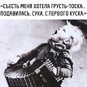 ���� ��������, ���������, 49 ��� - ��������� 19 ������ 2019 � ������ ������ ��������