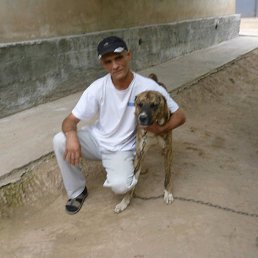 ���� � �, ������������, 52 ���� - ��������� 11 ������ 2018