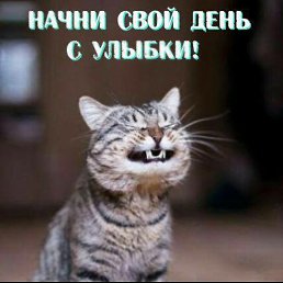 ���� �������, �����������, 55 ��� - ��������� 15 ������ 2018