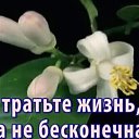 ���� �����, ��������, 58 ��� - ��������� 24 ������� 2018 � ������ ���� ����������