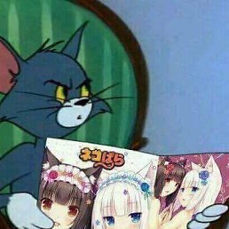 �����, ������, 22 ����