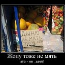 ���� �����, �������, 56 ��� - ��������� 25 ������ 2019 � ������ ������ ��������