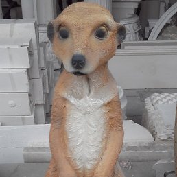 ������, ������, 55 ���