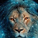 ���� ����� �� �� ����, �������� - ��������� 21 ����� 2019 � ������ ������ ��������