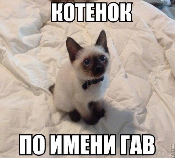    :D - 30  2018  16:33