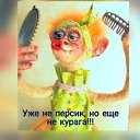 ���� �����, ������, 54 ���� - ��������� 26 ������� 2018 � ������ ������ ��������