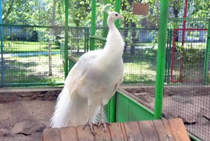 Lara - 30 ������ 2019 � 10:44 - 3