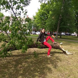 �����, ������