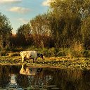 ���� �����, ��������, 59 ��� - ��������� 5 ������ 2018 � ������ ������ ��������