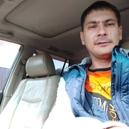 �������, ���������, 41 ���