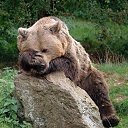 ���� ����, ���������, 60 ��� - ��������� 23 ���� 2018 � ������ ���� ����������