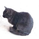 ���� ���, ������, 45 ��� - ��������� 3 ������� 2018 � ������ ���� ����������