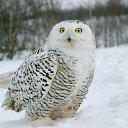 ���� ���������, �����, 53 ���� - ��������� 27 ���� 2018 � ������ ���� ����������