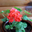 ���� Vassa, ���� - ��������� 4 ������ 2018 � ������ ������ ��������